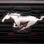 @uzbmustang5068