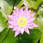 @Deepshikha-ts6bd