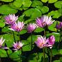 @mohammedabdulnayeem8005