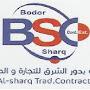 @bodoralsharq4137