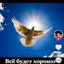 @КоляновнаЯ
