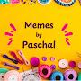 @memes_by_paschal