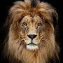 @rasim163ru