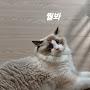 @냥냐냥냐랴량