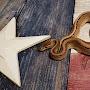 @PrideofTexasPythons