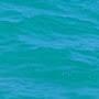 @noureldinemahmoud2120