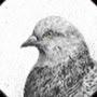 @TheMetalPigeon