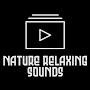 @NatureRelaxingSoundsOfficial