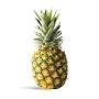 @pineappleplaysxbox7897