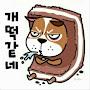 @강-y9h