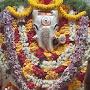@harshkumarbhiwaniwala9284