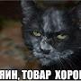 @Несдавайсяитыувидишькаксдаются