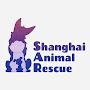 @shanghaianimalrescuesar-3294