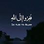 @tabassumfatima641