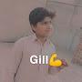 @mjunaidgillgill4355