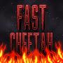 @fast_cheetah5834