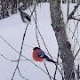 @ЖИВАЯПРИРОДА-я5ц