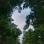 @আমারবাংলা৮৪