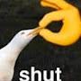 @shutboi4586