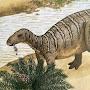 @dinoprincessri