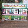 @amirthamnurserypondicherry1046