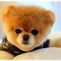 @youtuberu7300