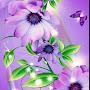 @butterflyheart-x