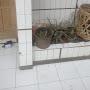 @M.Batara