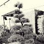 @plantdesigns7889