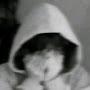 @kakigouri.22