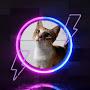 @GatinhoGodiles