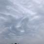 @police993