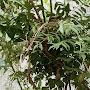 @bharathiparthasarathi29