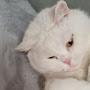 @ПапкаНагибатор-с3б