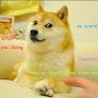 @dogeplayz9277