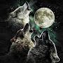 @HowlingMoonCinemas