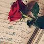 @syedmuhammad8209
