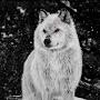 @user-ll3tx1lt7i