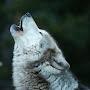 @24raads