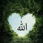 @FatimaYumna-z9g