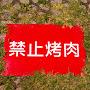 @軟今天-x1l