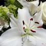 @lazulimoon1970