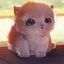 @igrocotbro6471
