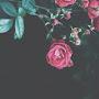 @aneeqaduplessis9174