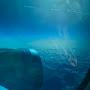 @user-sw5tt8oz5v