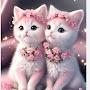 @Catsloverss143