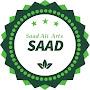 @SaadAliArts