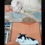 @playinggamecat