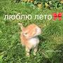 @ВалерийИльин-э2н