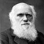 @TheRealCharlesDarwin